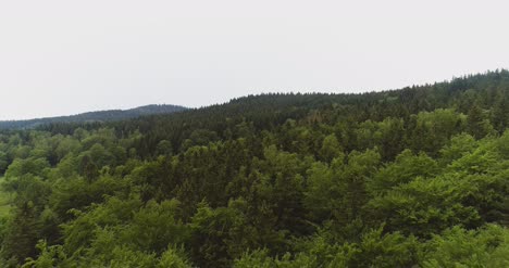 Aerial-Shot-Of-Woods-Forest-Nature-Landscape