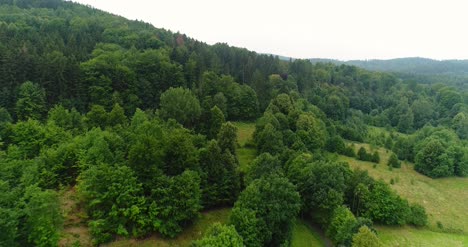 Flying-Over-The-Beautiful-Forest-Trees-Landscape-Panorama-56