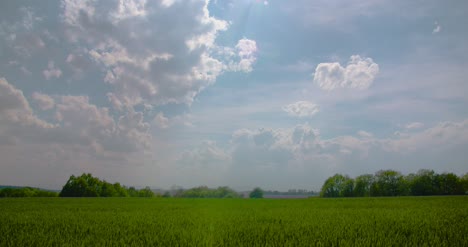 Scenic-View-Of-Wheat-Field-Against-Sky-2