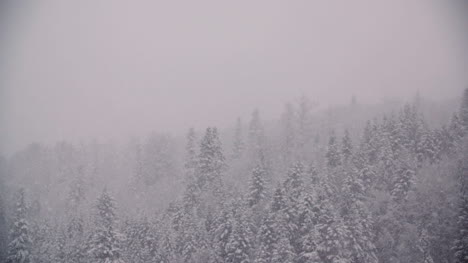 Snowflakes-Against-Snow-Covered-Trees-In-Mountains