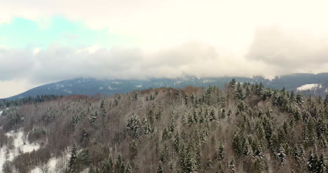 Luftaufnahme-Des-Schneebedeckten-Waldes-In-Den-Bergen-5