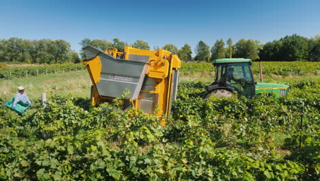 Workers-Go-For-A-Machine-That-Picks-Grapes-From-A-Vine