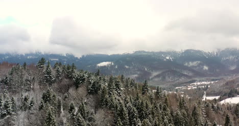 Wald-Mit-Schnee-Bedeckt-Luftbild-5
