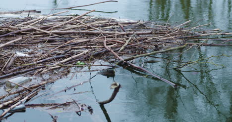 Stöcke-Und-Müll-Schwimmen-Auf-Dem-See