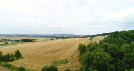 Aerial-Shoot-Of-Wheat-Fields-1