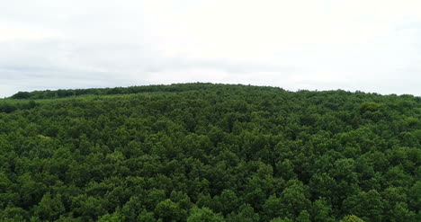 Flying-Over-The-Beautiful-Forest-Trees-Landscape-Panorama-4