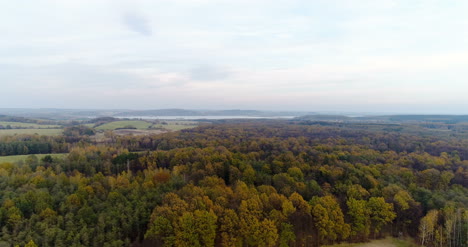 Vista-Aérea-View-Of-Forest-In-Autumn