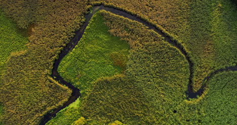 Aerial-View-Of-Forest-Woods-3