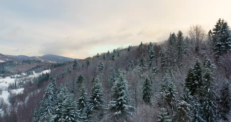 Luftaufnahme-Des-Schneebedeckten-Waldes-In-Den-Bergen-11