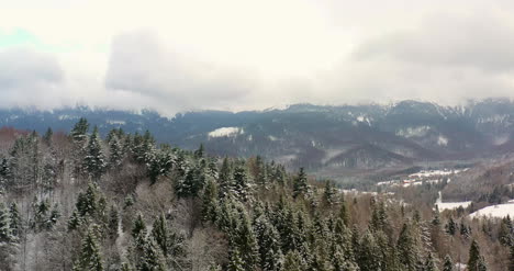 Wald-Mit-Schnee-Bedeckt-Luftbild-2