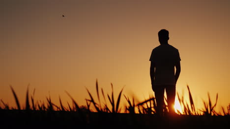 Ein-Junger-Mann-Steht-Auf-Einem-Feld-Und-Betrachtet-Den-Sonnenuntergang