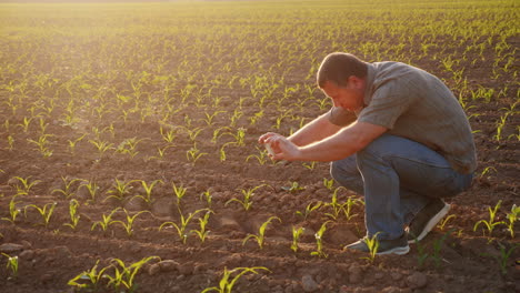 The-Farmer-Pictures-Young-Shoots-On-The-Field-Uses-A-Smartphone-Tecnología-In-Agribusiness-Hd-Video