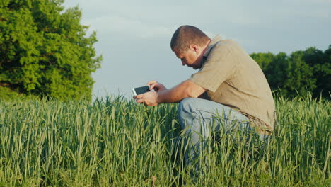 Ein-Agronomen-Mittleren-Alters-Fotografiert-Grüne-Weizensprossen-4k-Video