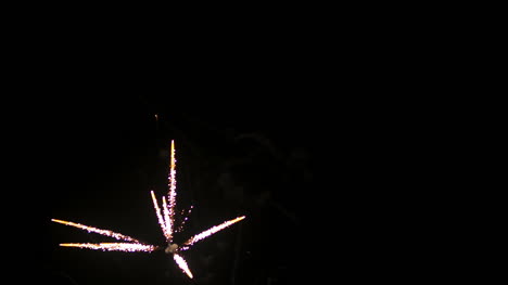Fireworks-At-The-Beginning-Of-The-New-Year-In-Black-Night-8