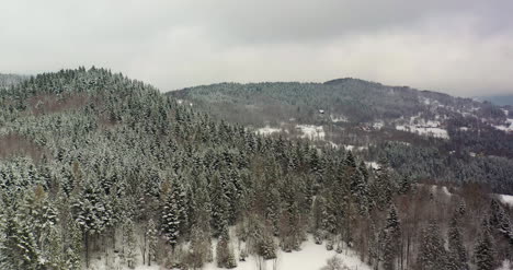 Wald-Mit-Schnee-Bedeckt-Luftbild-Luftbild-Des-Dorfes-In-Den-Bergen-11