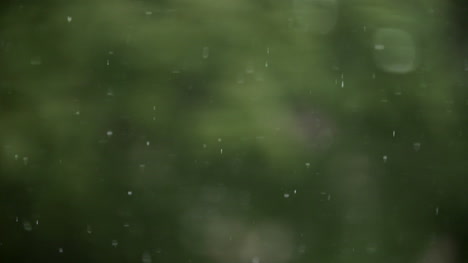 Lloviendo-Lluvia-En-El-Fondo-Del-Bosque-1