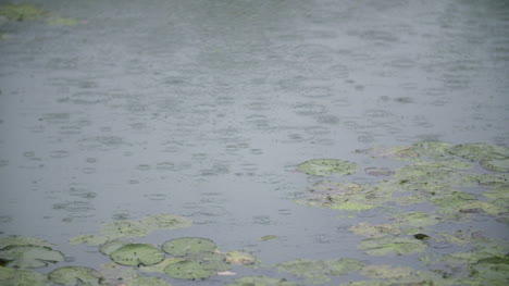 Raining-Rain-On-Water-Surface-2