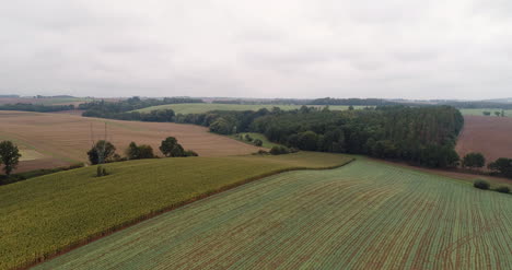 Aerial-View-Of-Agricultural-Fields-And-Forest-6