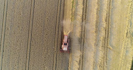 Combine-Harvester-Harvesting-Agricultural-Wheat-Field-6