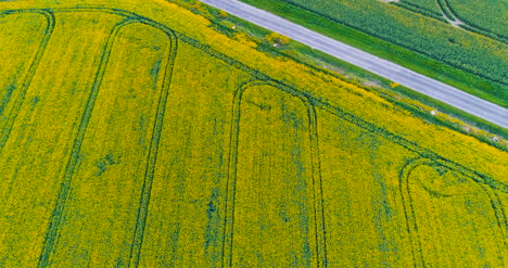 Agriculture-Aerial-Of-Tractor-Spraying-Farm-Land-With-Pesticide-13