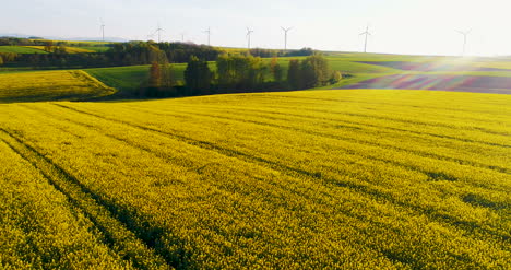 Energietechnik-Windmühlenfarm