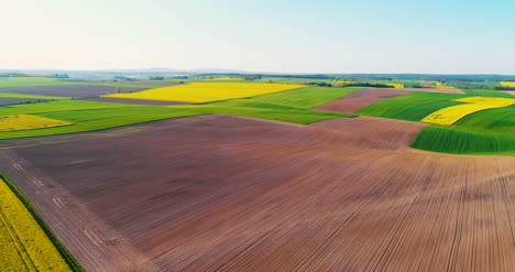 Fields-With-Various-Types-Of-Agriculture-4K-7