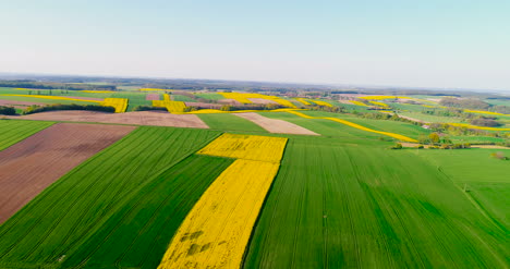 Fields-With-Various-Types-Of-Agriculture-4K-9