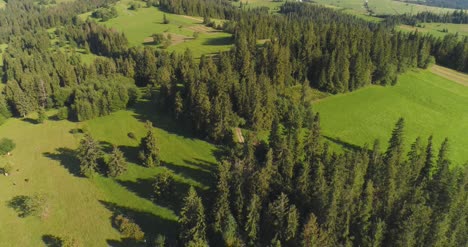 Fliegen-über-Das-Schöne-Waldbäume-Landschaftspanorama-5