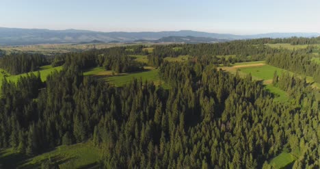 Fliegen-über-Das-Schöne-Waldbäume-Landschaftspanorama