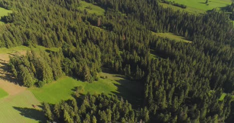 Fliegen-über-Das-Schöne-Waldbäume-Landschaftspanorama-29