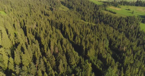 Flying-Over-The-Beautiful-Forest-Trees-Landscape-Panorama-33