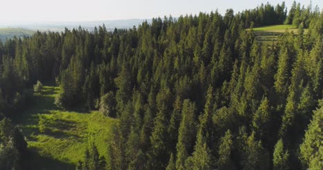 Fliegen-über-Das-Schöne-Waldbäume-Landschaftspanorama-47