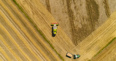Combine-Harvester-Gathers-The-Wheat-Crop
