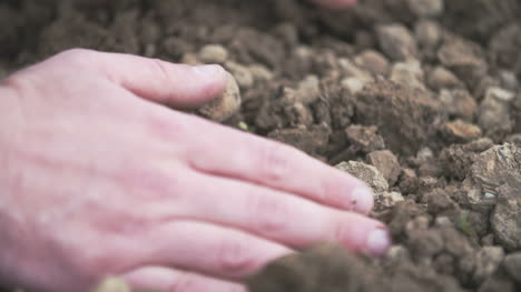 Farmer-Examining-Soil-In-Hands-Field-