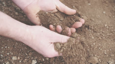 Farmer-Examining-Soil-In-Hands-Field-1