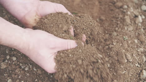 Man-Holding-Pile-Of-Soil-In-Hands-