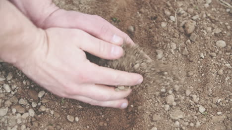 Young-Farmer-Examining-Soil-In-Hands-
