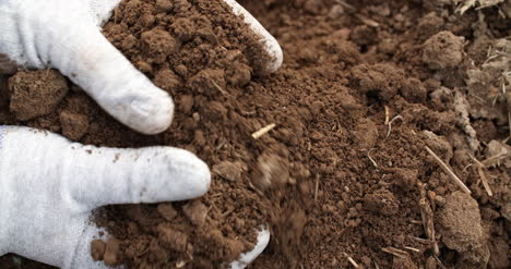 Farmer-Examining-Soil-In-Hands-Agriculture-1
