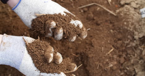 Farmer-Examining-Soil-In-Hands-Agriculture-3