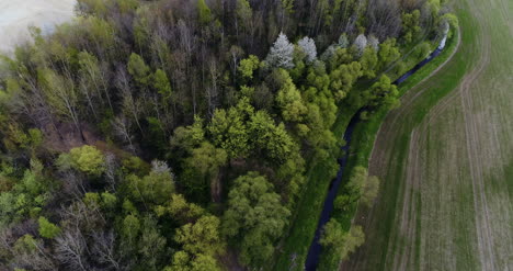 Aerial-View-Of-Forest-1