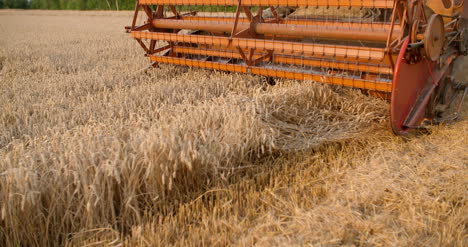 Harvesting-Combine-Harvester-Harvesting-Wheat-11