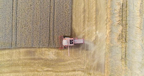 Harvesting-Combine-Harvester-Harvesting-Wheat-5