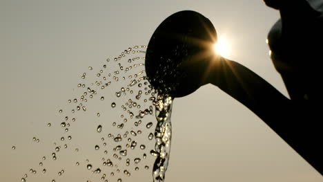Agriculture-Watering-Can-Pouring-Water-2
