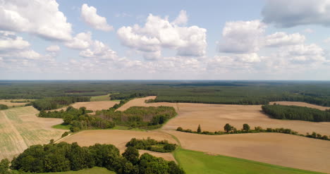 Aerial-View-Of-Forest-In-Summer