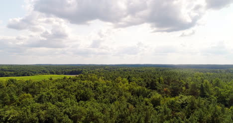 Aerial-View-Of-Forest-In-Summer-1