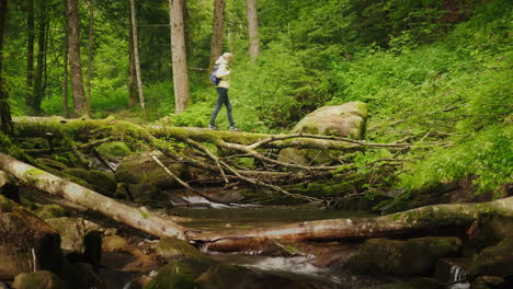 A-Traveler-A-Woman-In-A-Down-Jacket-Crosses-A-Mountain-River-Over-A-Log-4K-Video
