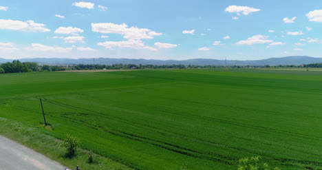 Wide-Agricultural-Field-Aerial-View