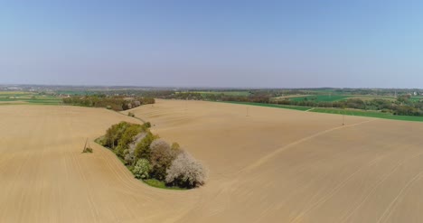 Aerial-View-Of-Agricultural-Field-1