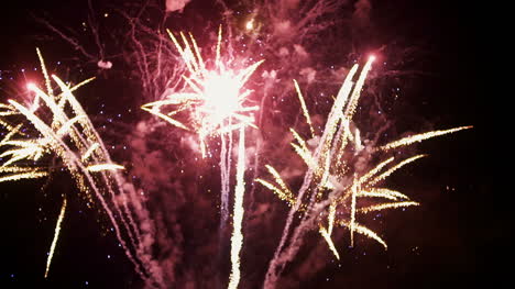 New-Year-Firework-Display-7