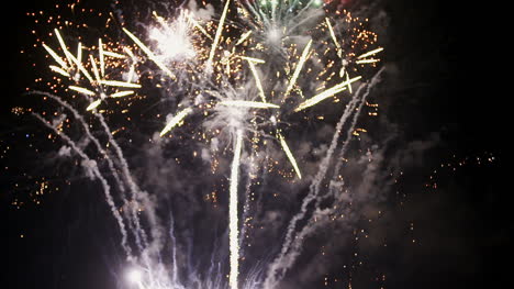 New-Year-Firework-Display-8